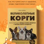 Великолепные корги. Все о породах вельш-корги-пемброк и вельш-корги-кардиган