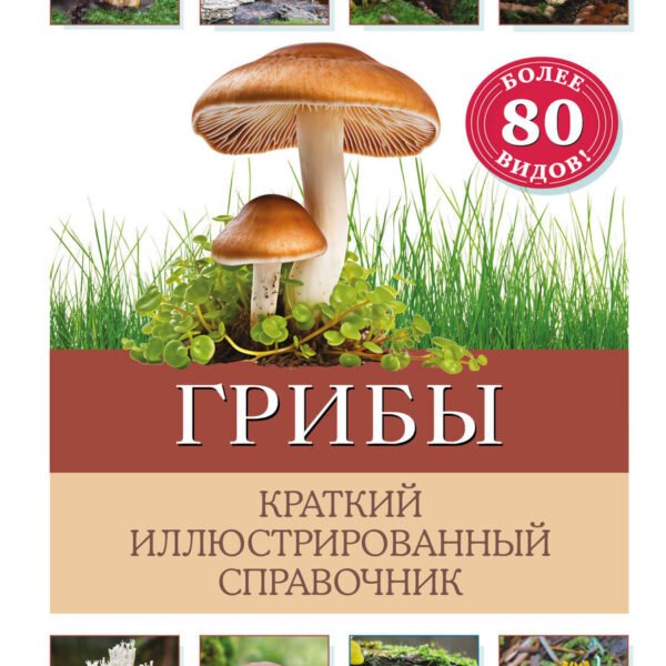 Грибы. Краткий иллюстрированный справочник