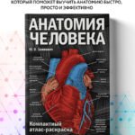 Анатомия человека: компактный атлас-раскраска