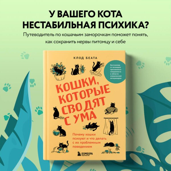 Кошки, которые сводят с ума. Почему кошки психуют и что делать с их проблемным поведением