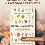 Цветы для букета. Справочник срезанных цветов для начинающего флориста. Что и когда покупать и как продлить цветам жизнь