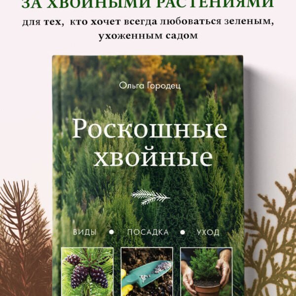 Роскошные хвойные. Виды, посадка, уход