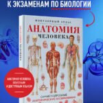 Анатомия человека. Популярный атлас. Самые подробные анатомические изображения