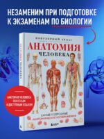 Анатомия человека. Популярный атлас. Самые подробные анатомические изображения