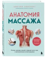 Анатомия массажа. Основы массажа нижней и верхней части тела с анатомическими иллюстрациями