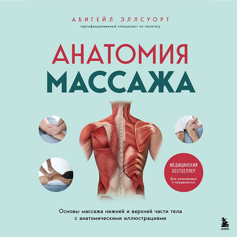 Анатомия массажа. Основы массажа нижней и верхней части тела с анатомическими иллюстрациями Анатомия массажа. Основы массажа нижней и верхней части тела с анатомическими иллюстрациями
