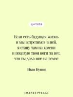 Темные аллеи (новое оформление)