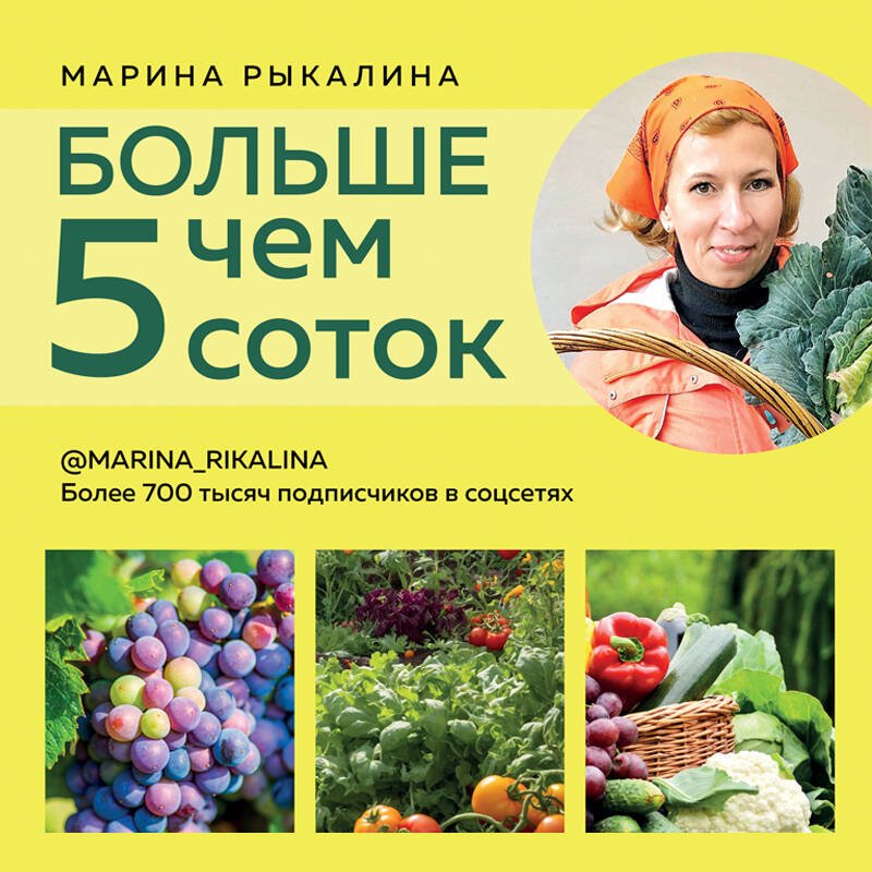 Больше чем 5 соток. Как на маленьком участке получить максимум урожая (новое оформление) Больше чем 5 соток. Как на маленьком участке получить максимум урожая (новое оформление)