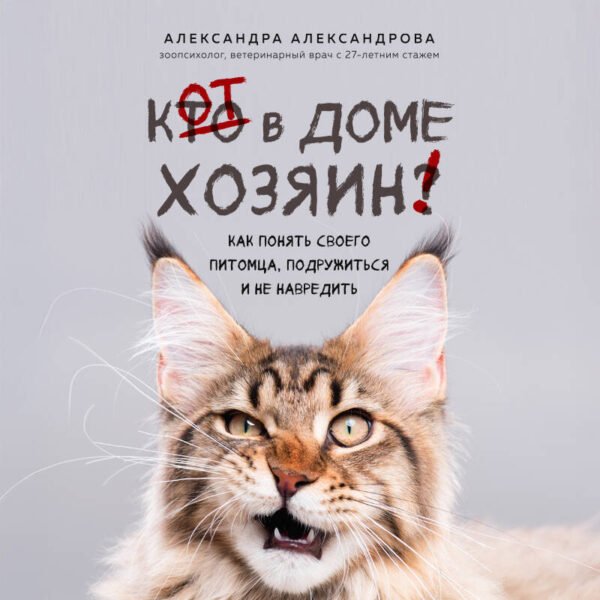 Кот в доме хозяин! Как понять своего питомца, подружиться и не навредить (новое оформление)