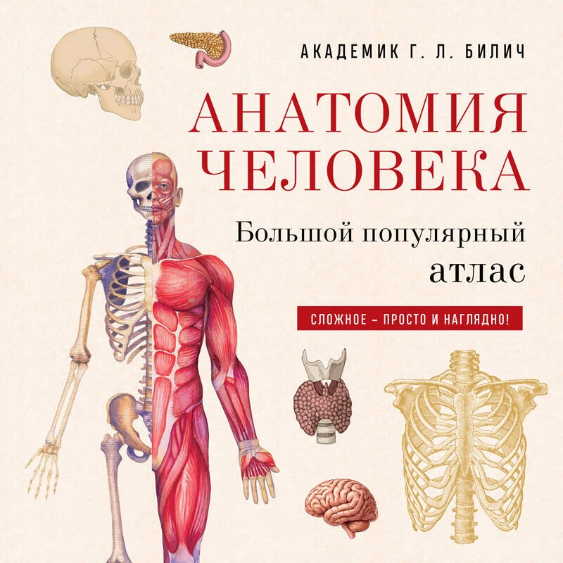 Анатомия человека: большой популярный атлас (новое оформление) Анатомия человека: большой популярный атлас (новое оформление)