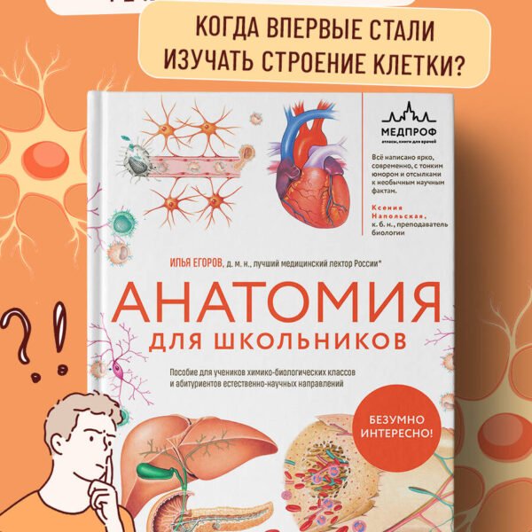 Анатомия для школьников. Пособие для учеников химико-биологических классов и абитуриентов естественно-научных направлений