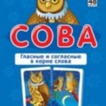 Сова.Гласные и согласные в корне слова.Русский язык.48 карт.1 уровень