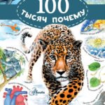 100 тысяч почему