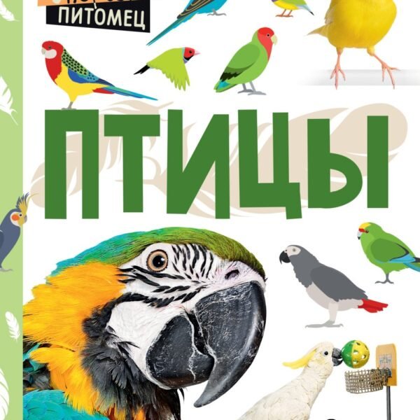 Птицы