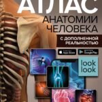 Атлас анатомии человека с дополненной реальностью