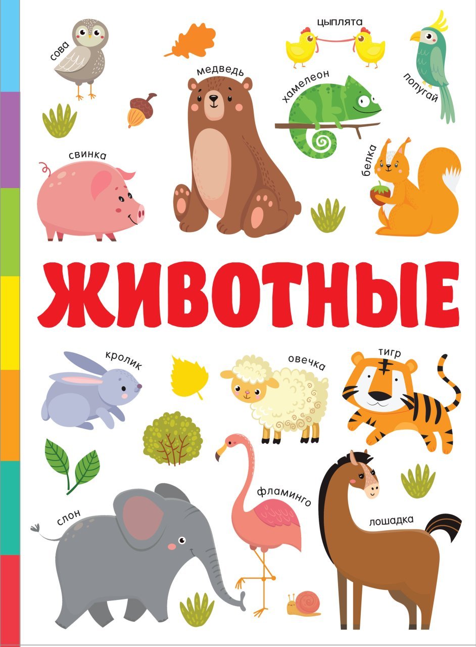 Животные Животные