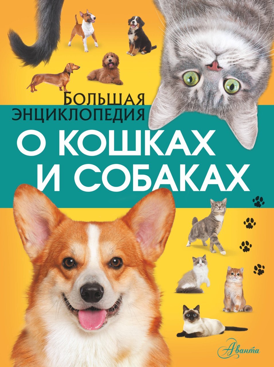 Большая энциклопедия о кошках и собаках Большая энциклопедия о кошках и собаках