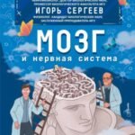 Мозг и нервная система