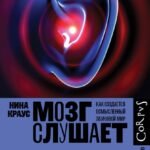 Мозг слушает