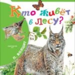 Кто живёт в лесу?