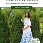 Энциклопедия хвойных растений. Вечнозелёные долгожители в вашем саду