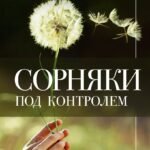 Сорняки под контролем. Избавляемся от нежелательных соседей