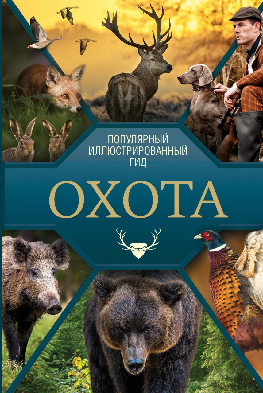 Охота. Популярный иллюстрированный гид Охота. Популярный иллюстрированный гид