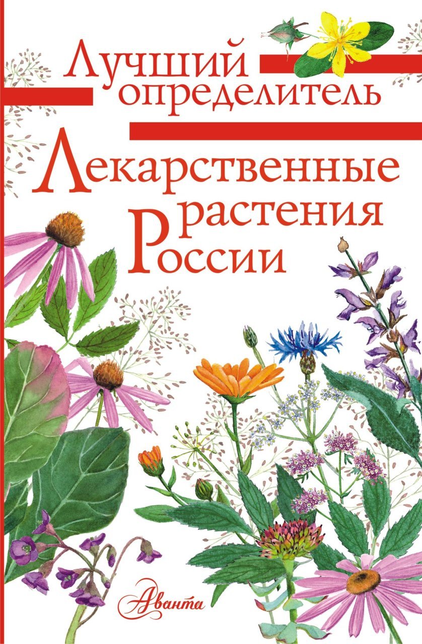 Лекарственные растения России Лекарственные растения России