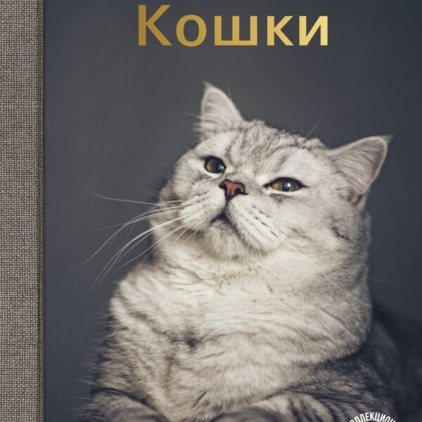 Кошки