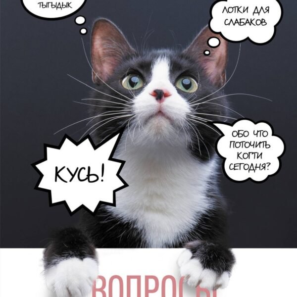 Вопросы о кошках. Самое интересное о пушистых любимцах