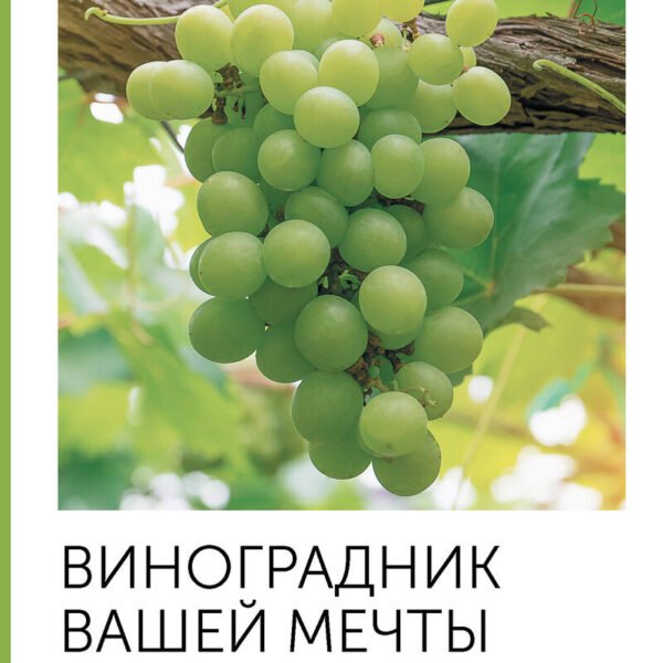 Виноградник вашей мечты. Простое руководство по выращиванию в любом уголке России