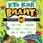 Кто как видит?