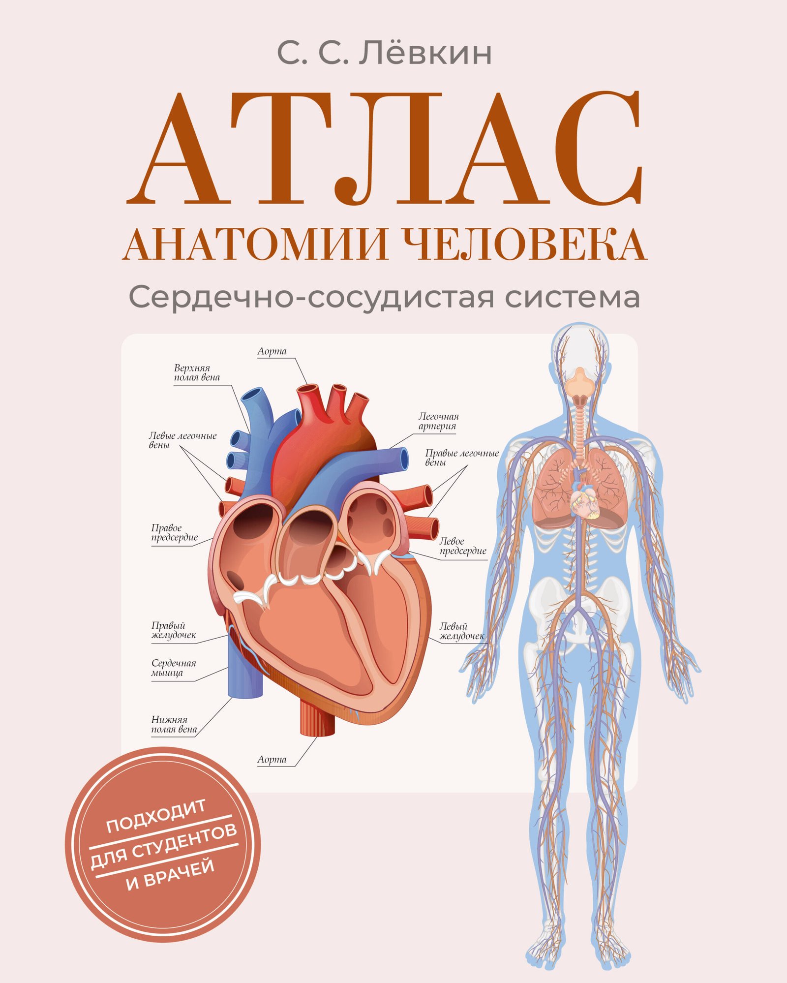 Атлас анатомии человека. Сердечно-сосудистая система Атлас анатомии человека. Сердечно-сосудистая система