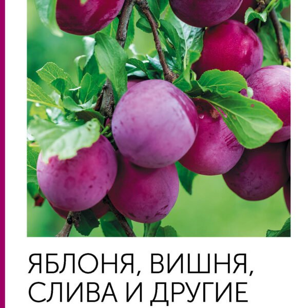 Яблоня, вишня, слива и другие плодовые. Плодотворный сезон
