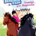 Академия верховой езды. Лошадь для Марьяны