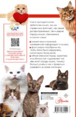 Кошки мира. Определитель
