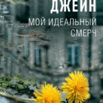 Мой идеальный смерч