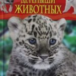 Детеныши животных. Детская энциклопедия