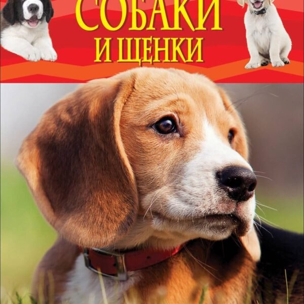Собаки и щенки