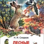 Сладков Н. Лесные сказки (ВЧ)