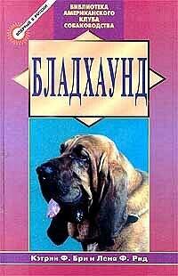 Бладхаунд
