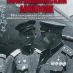 Покрышкинский авиаполк(серый). 16-й гвардейский истребительский авиационный полк в боях с Люфтваффе.