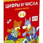 Цифры и числа (5-6 лет) (нов.обл.)