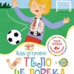 Как устроено тело человека