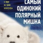 Самый одинокий полярный мишка