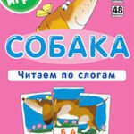 ОГ4. Собака. Читаем по слогам. Набор карточек.