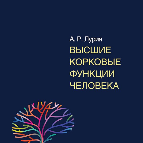 Высшие корковые функции человека