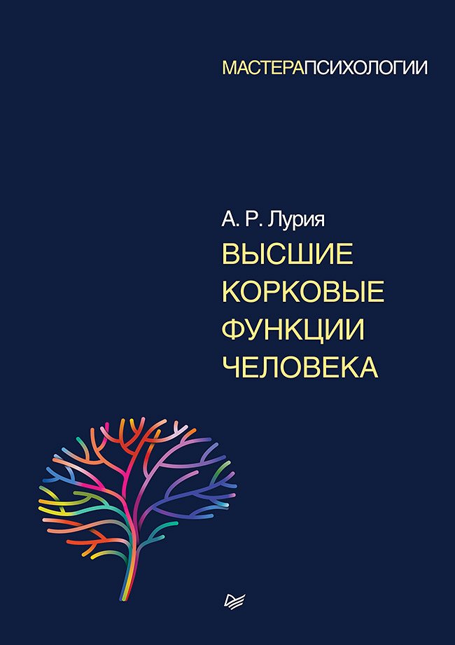 Высшие корковые функции человека Высшие корковые функции человека