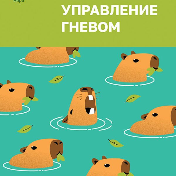 Управление гневом. Как не выходить из себя и справиться с самой разрушительной эмоцией