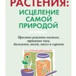 Лекарственные растения: исцеление самой природой
